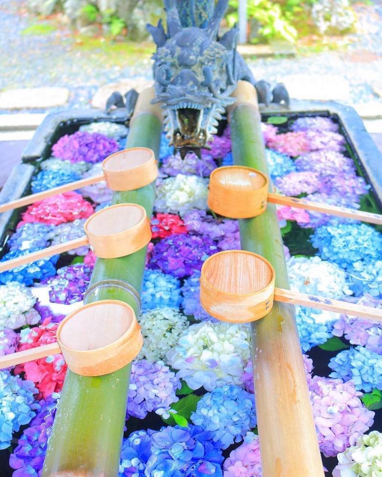 🙏 죠코엔만 절 (常光円満寺) 이미지 8